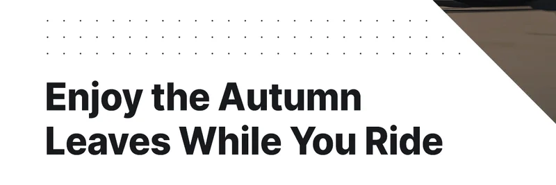 enjoy the autumn leaves while you ride