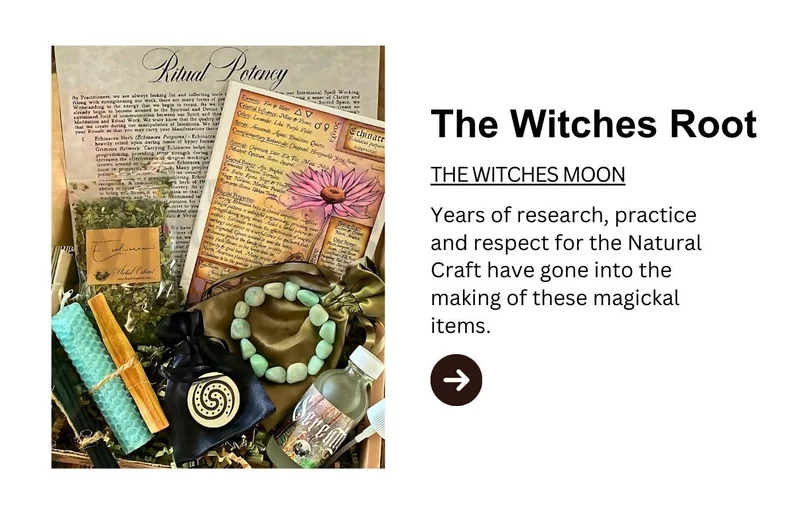 The Witches Roots