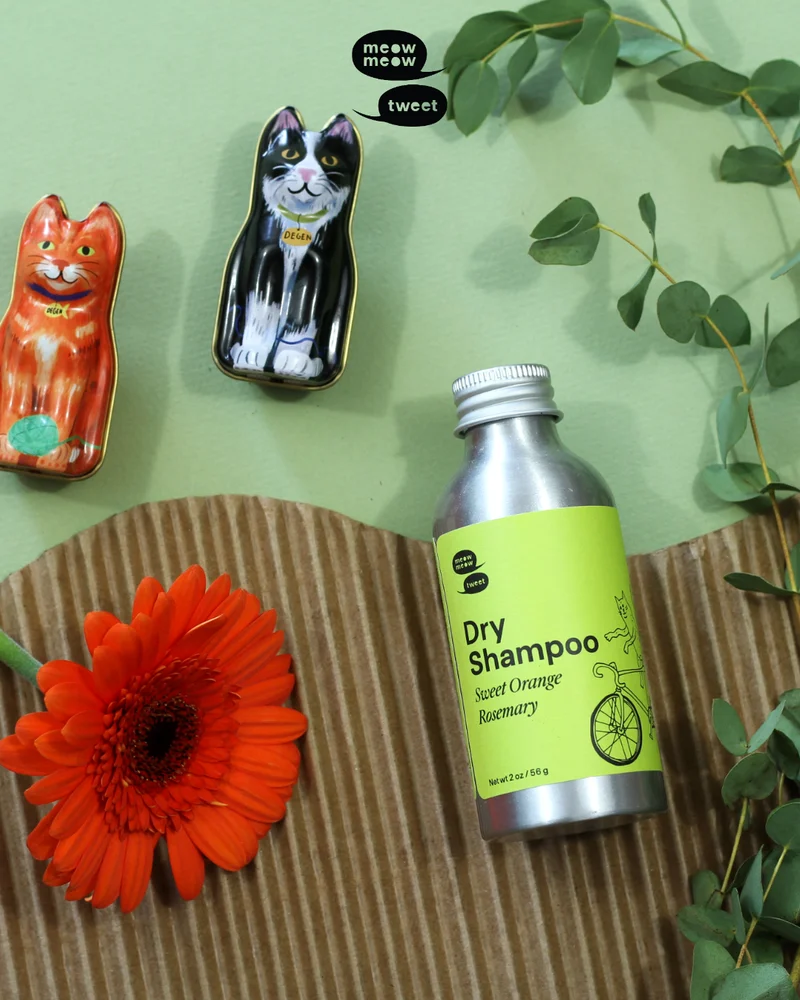 A metal bottle with a green label sits on a green background with some cat knickknacks and plants