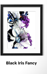 Black Iris Fancy