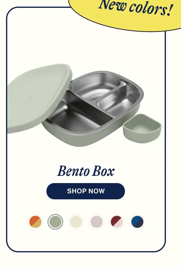 Bento Box