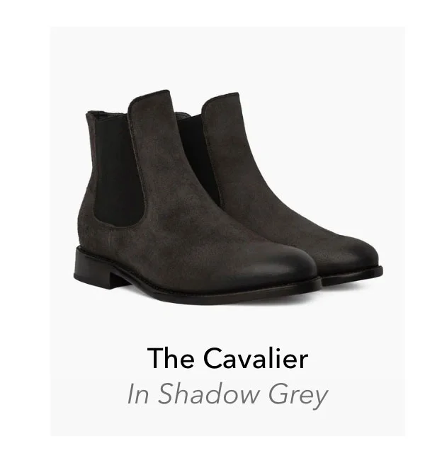 Grey Cavalier