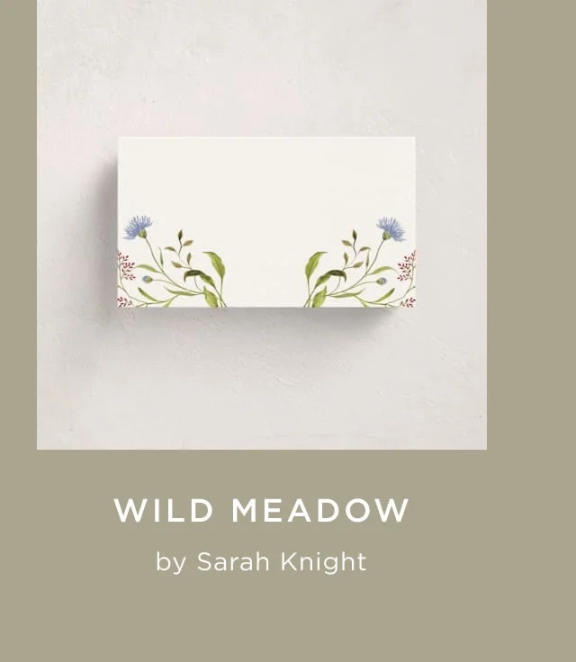 Wild Meadow