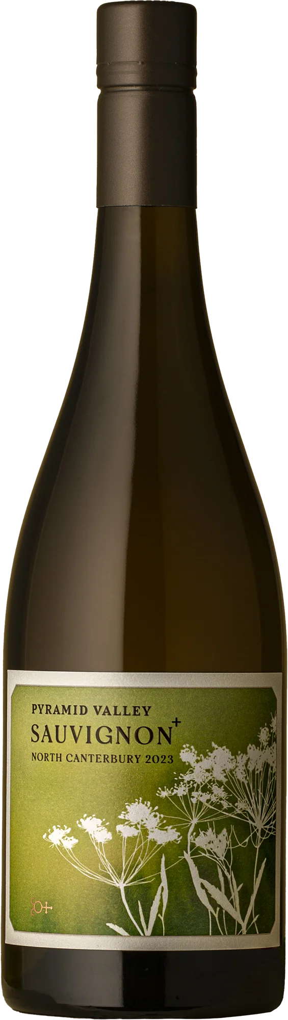 Image of Pyramid Valley <BR> North Canterbury Sauvignon Blanc 2023