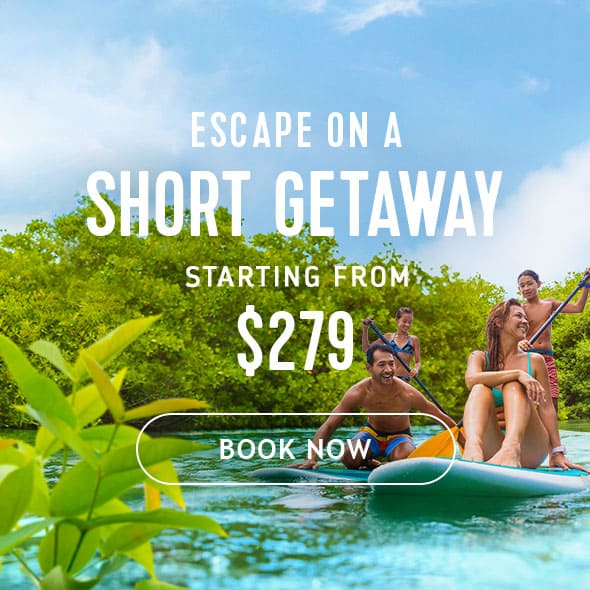 ESCAPE ON A SHORT GETAWAY