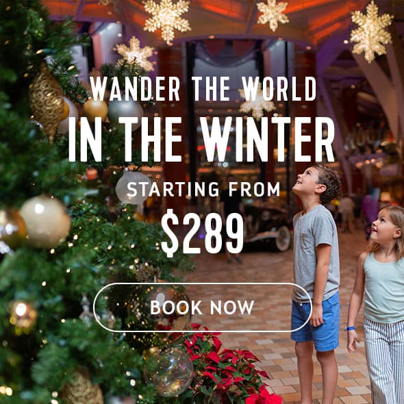 WANDER THE WORLD IN THE WINTER