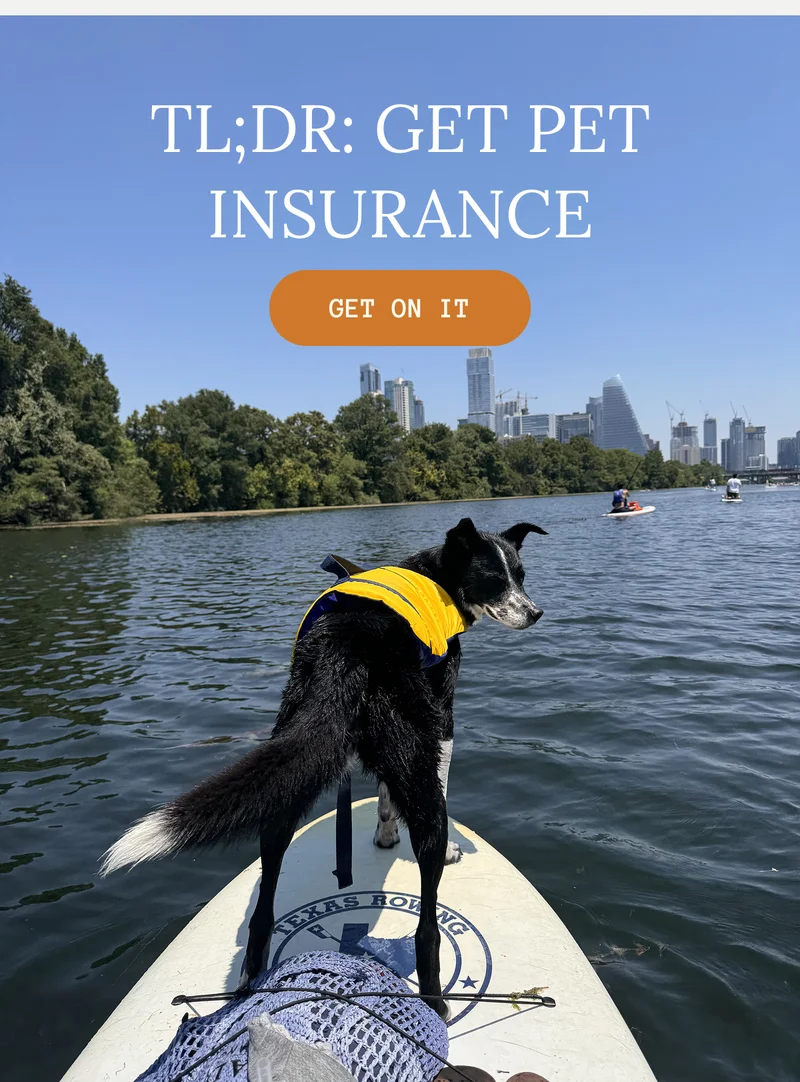TL;DR: Get Pet Insurance