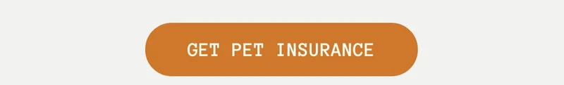 Get Pet Insurance