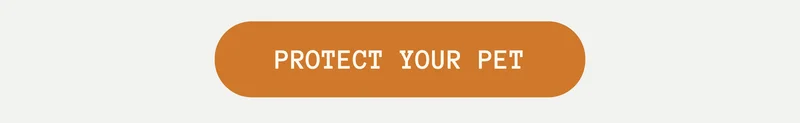 Get Pet Insurance