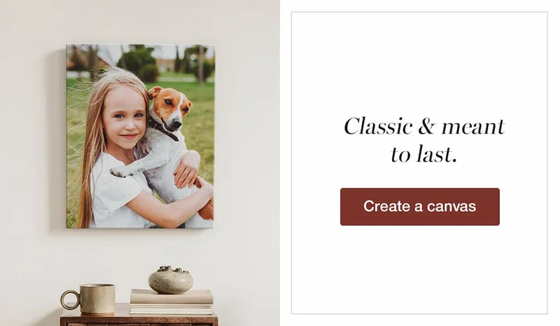 an image of a girl holding a dog in her arms