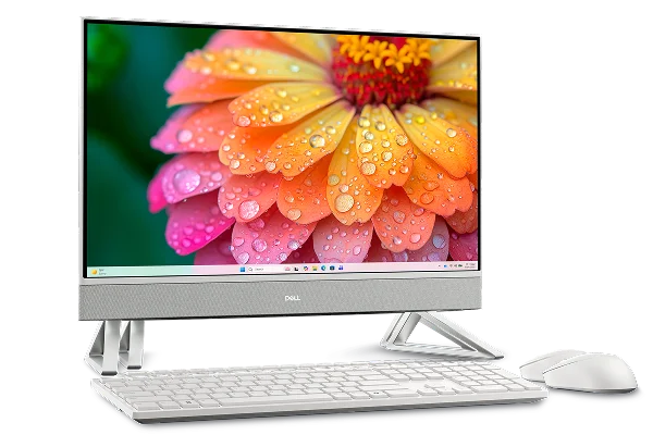 A Dell 24 All-in-One desktop computer with a Dell wireless keyboard and mouse.