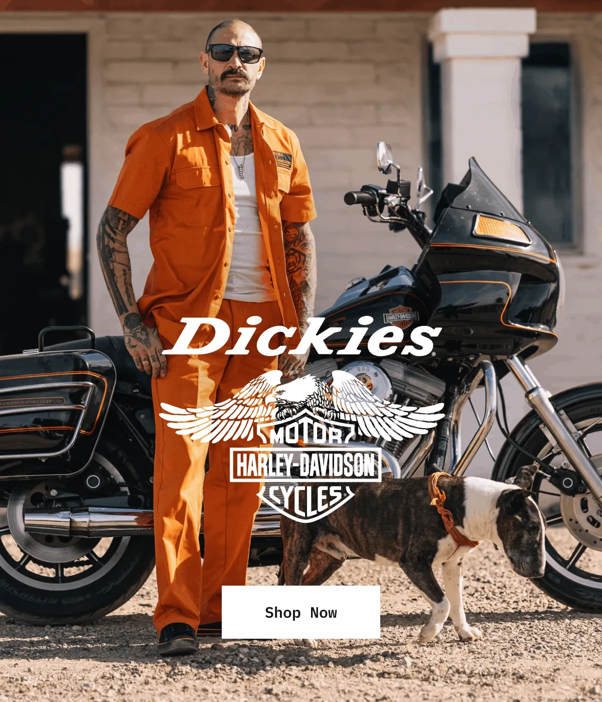 Dickies + Harley-Davidson. Shop Now.