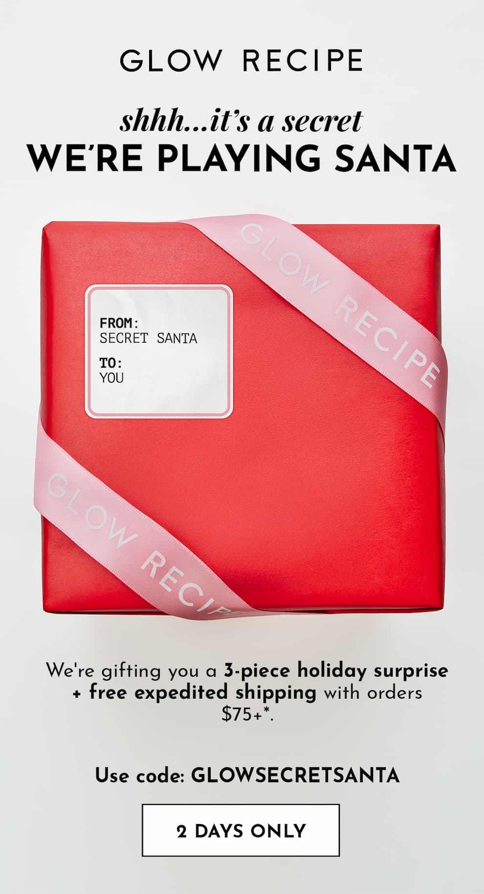 Secret Santa Gift + Free Expedited Shipping