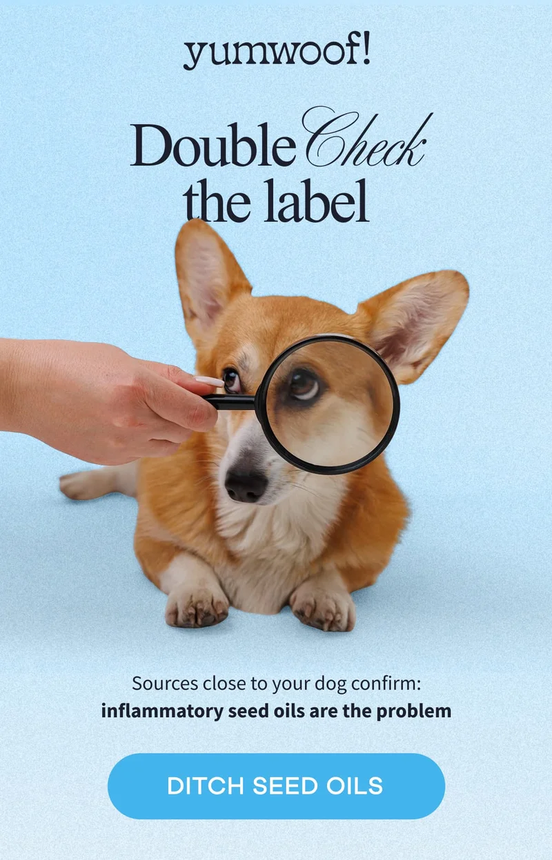 yumwoof! | Double Check the label | Sources close to your dog confirm: inflammatory seed oils are the problem | DITCH SEED OILS