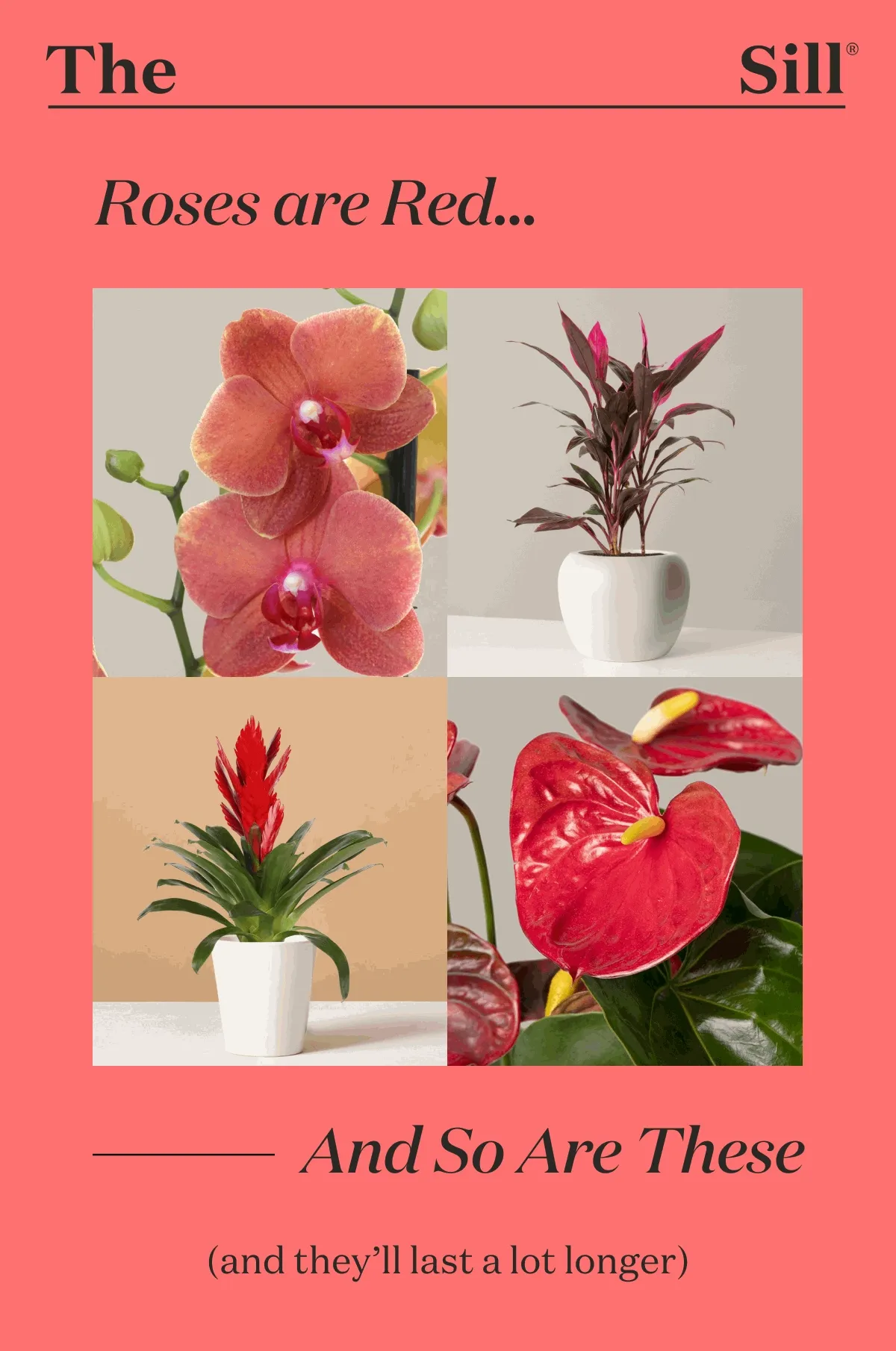 Roses are red — and so are these. (And they'll last a lot longer!)
