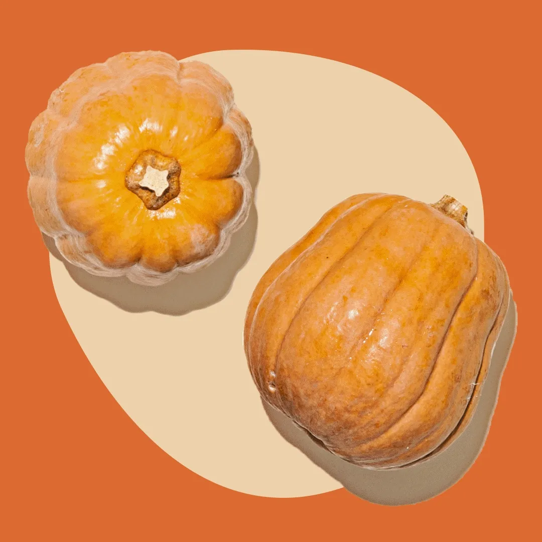 Koginut Squash, Yellow Potatoes, and Honeypatch Squash