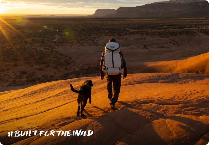 Built For The Wild