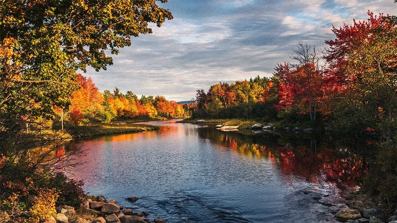 Image description: Lake at Acadia National Park in the fall.
