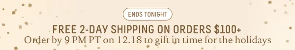 Free 2-Day Shipping On Orders $100+