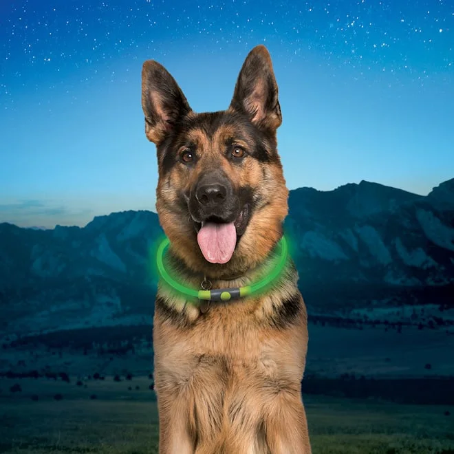 NiteHowl® Rechargeable LED Safety Necklace