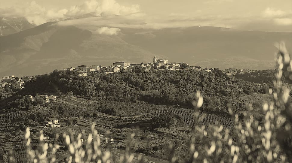 Black and white photo of vineyards in Abruzzo with an ancient town looking over it..