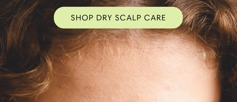 Shop Dry Scalp Care