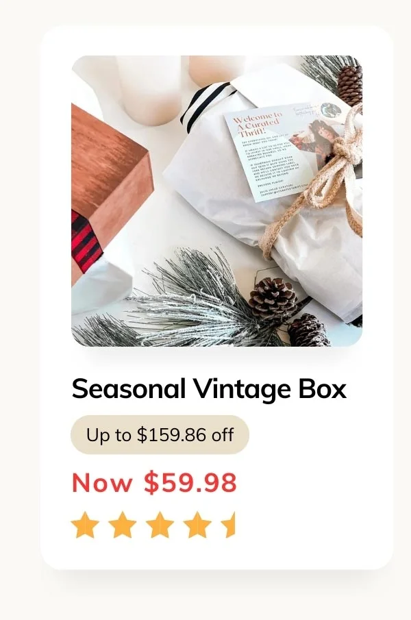 Seasonal Vintage Box A Curated Thrift