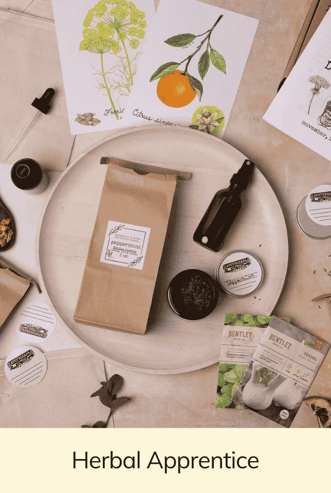 Herbal Apprentice Box