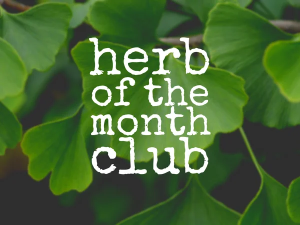 Herb of the Month Club