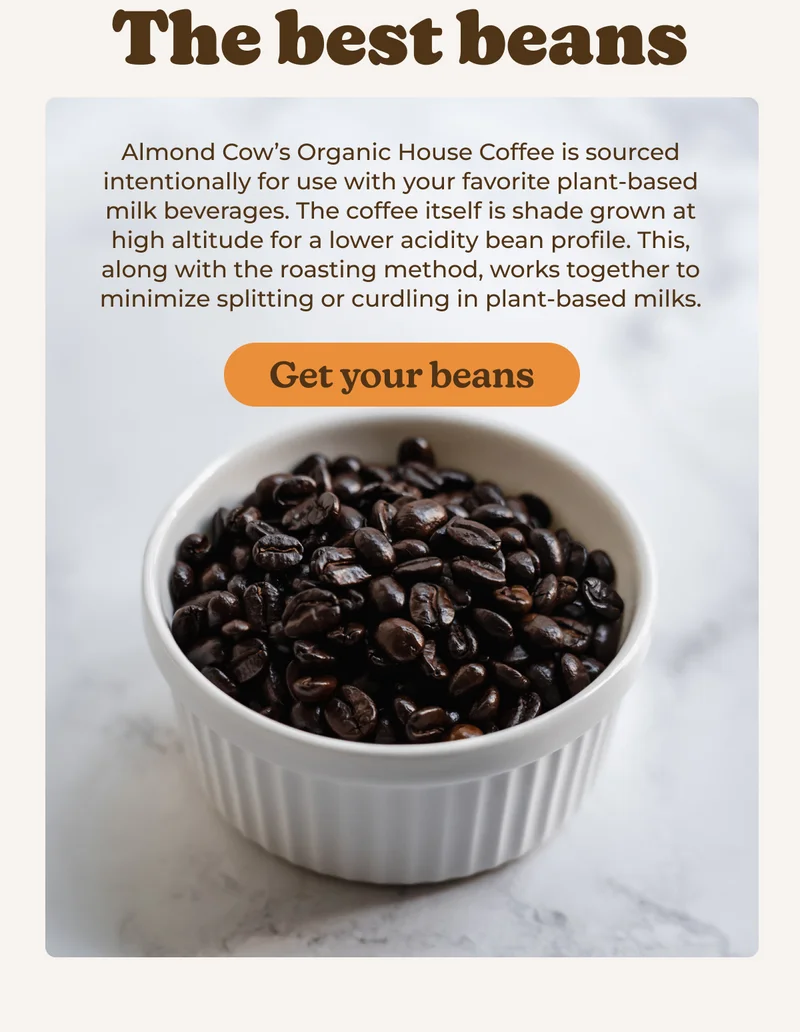 The best beans