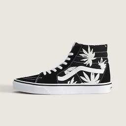 Sk8-Hi Shoe