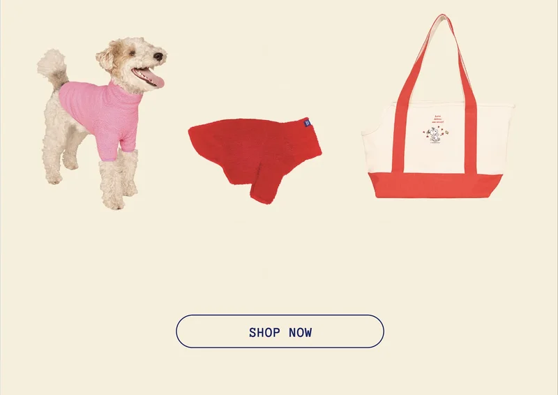 Shop Now