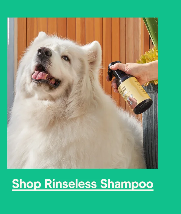 Shop Rinseless Shampoo