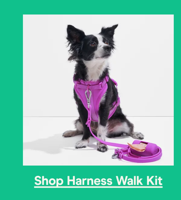 Harness Walk Kit