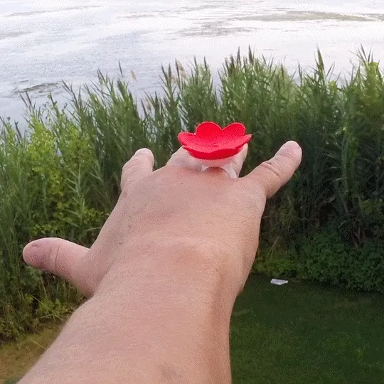 Hummingbird Feeder Ring Kit
