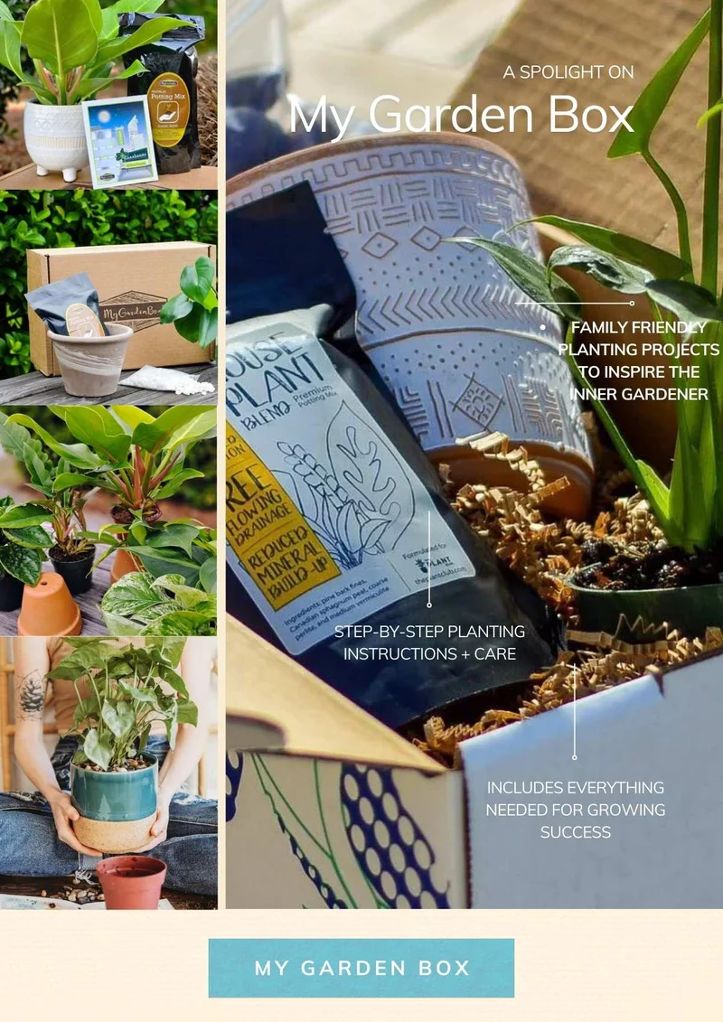 My Garden Box