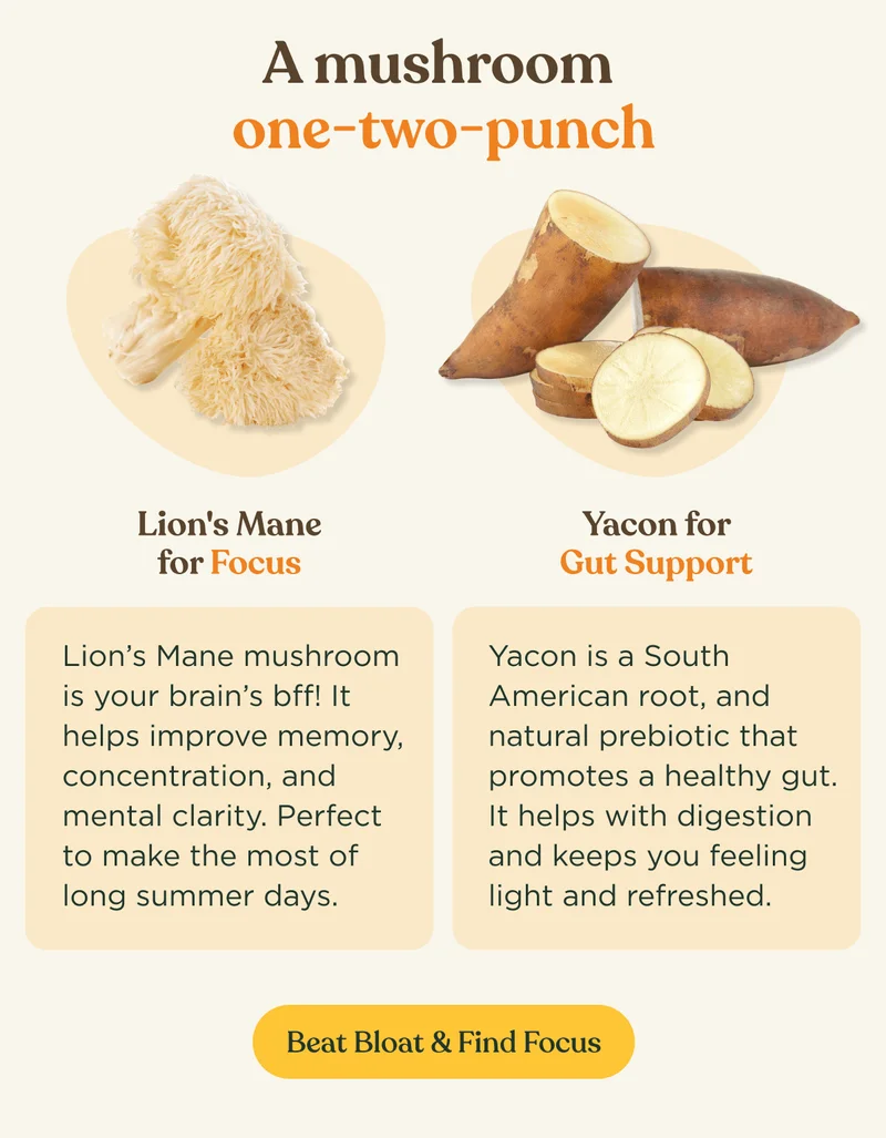 A mushroom one-two-punch | Lion's Mane for Focus - Lion’s Mane mushroom is your brain’s bff! It helps improve memory, concentration, and mental clarity. Perfect to make the most of long summer days. | Yacon for Gut Support - Yacon is a South American root, and natural prebiotic that promotes a healthy gut. It helps with digestion and keeps you feeling light and refreshed. | Beat Bloat & Find Focus