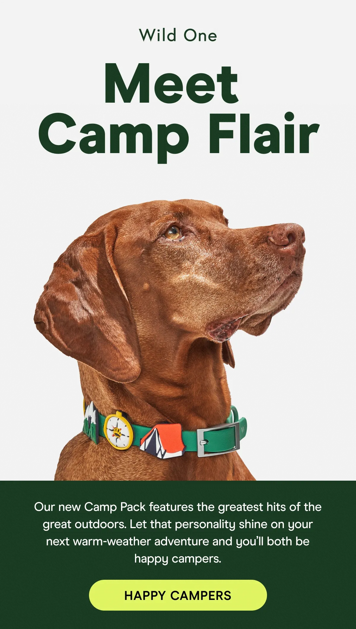 Our new Camp Pack features the greatest hits of the great outdoors. Let that personality shine on your next warm-weather adventure and you’ll both be happy campers.