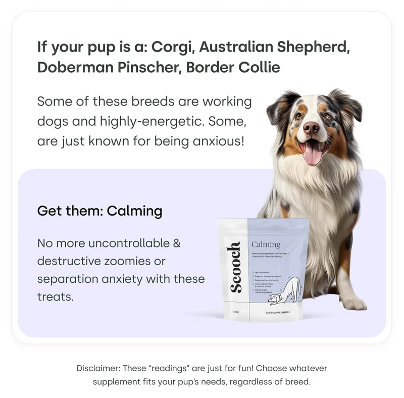If your pup is a: Corgi, Australian Shepherd, Doberman Pinscher, Border Collie - Get them: Calming