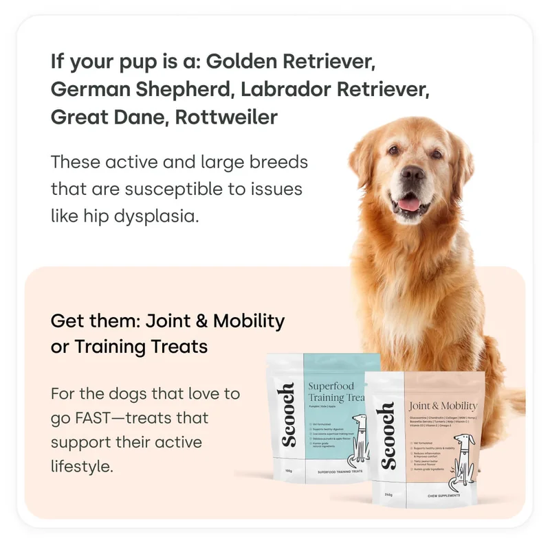 If your pup is a: Golden Retriever, German Shepherd, Labrador Retriever, Great Dane, Rottweiler - Get them: Joint & Mobility or Training Treats