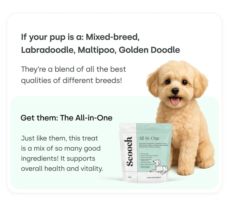 If your pup is a: Mixed-breed, Labradoodle, Maltipoo, Golden Doodle - Get them All-In-One