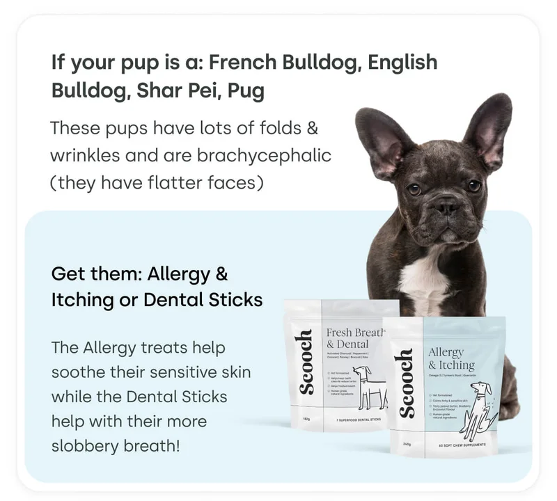 If your pup is a: French Bulldog, English Bulldog, Shar Pei, Pug - Get them Allergy & Itching or Dental Sticks