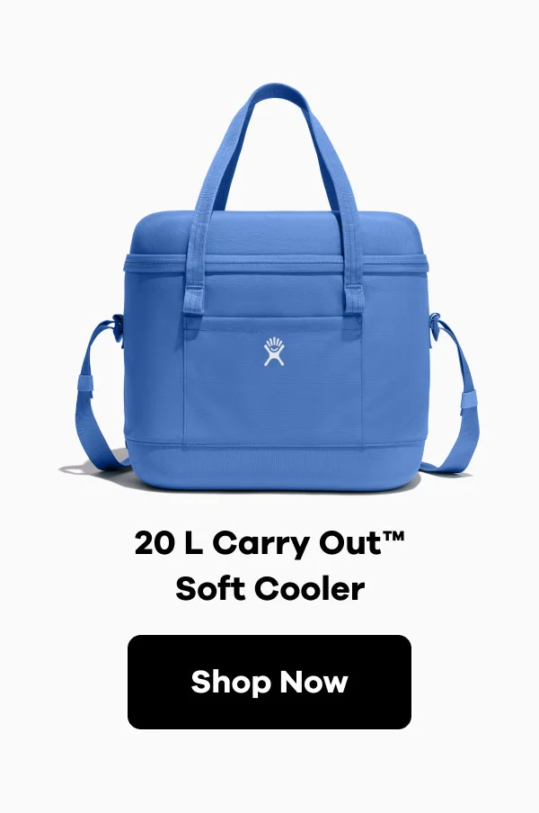 20 L Carry Out Soft Cooler