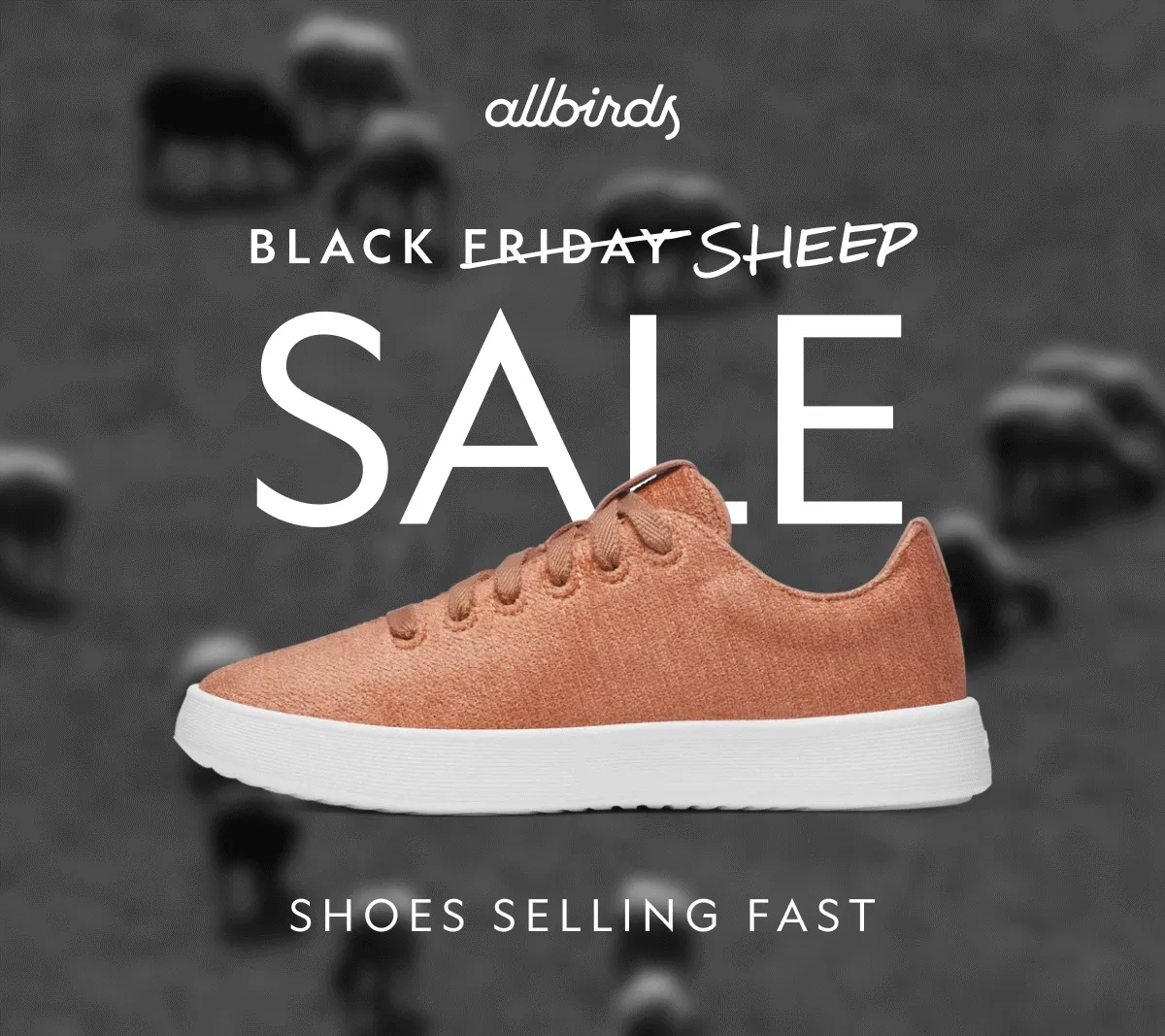 Black Friday Sale
