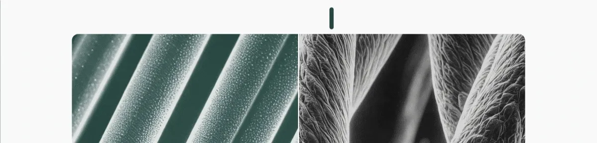 Take a look under the microscope