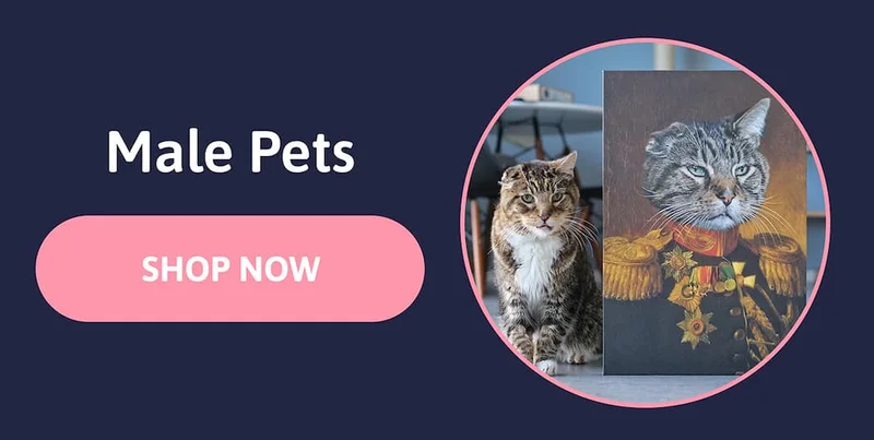 Male cat sat next to his pet portrait