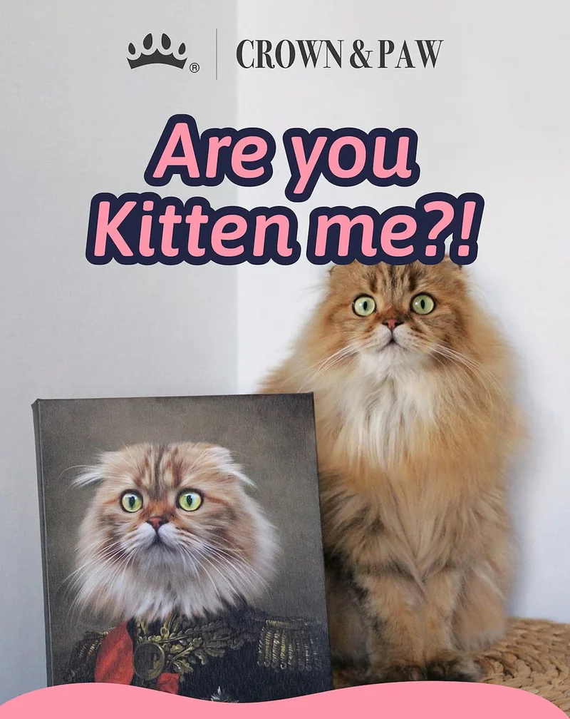 Are you kitten me?!