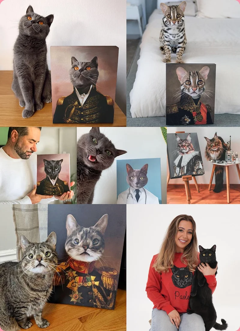A collage of cats sat next to their respective Renaissance pet portraits