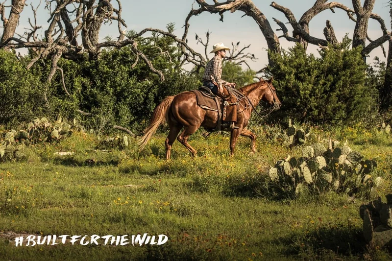 Built For The Wild