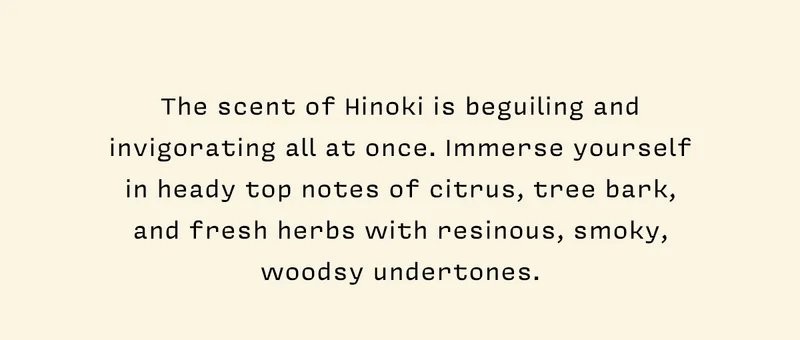 The scent of Hinoki is beguiling and invigorating all at once. Immerse yourself in the heady top notes of citrus, tree bark, and fresh herbs with resinous, smoky, woodsy undertones.